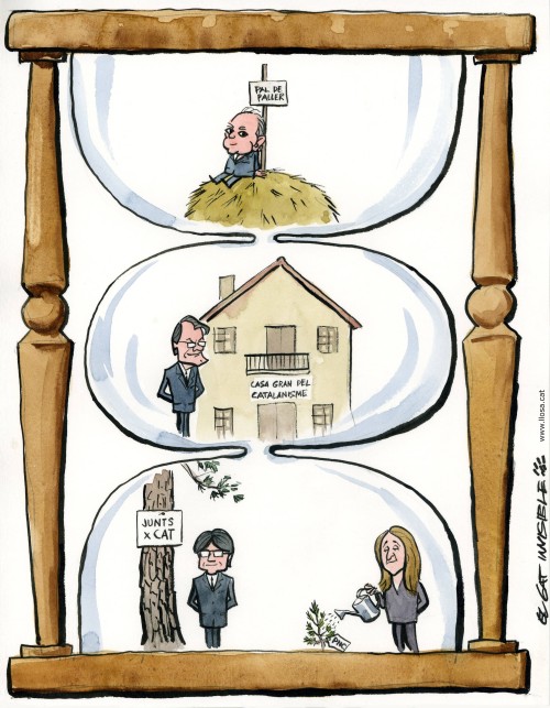 L'evolució convergent