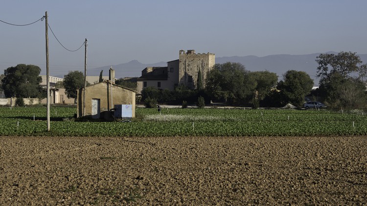 Pla de Palou (Granollers). Eliseu T. Climent