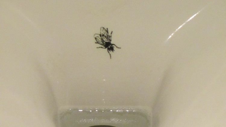 La teoria de l'empenta demostra que una imatge d'una mosca a la part inferior d'un urinari millora l'objectiu dels homes i redueix les despeses de neteja. Viquipèdia