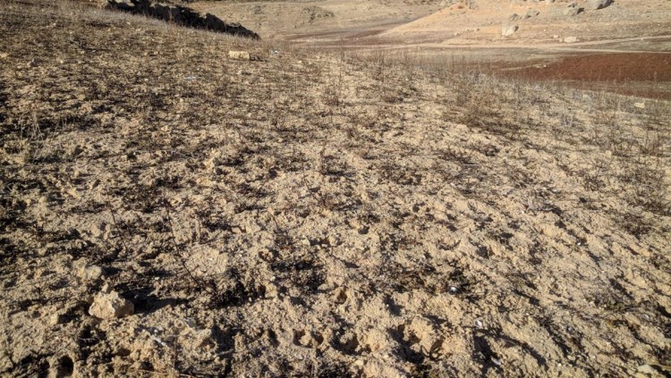 El 28% del sol del País Valencià està amenaçat per la desertificació| Europa Press