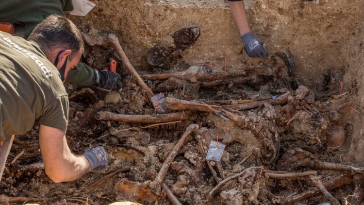 Excavació al cementiri de Porreres. Europa Press