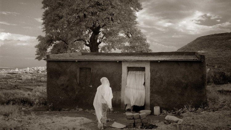 La casa de l'arbre, Harargué, 2007. Toni Catany