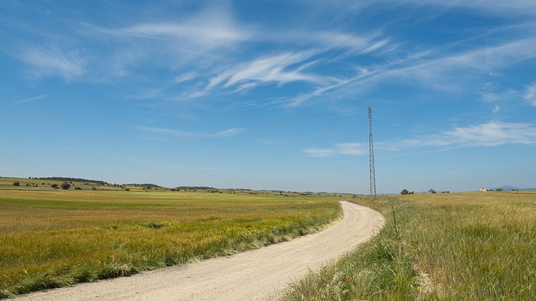 Paisatge de cereal (Montgai). Eliseu T. Climent
