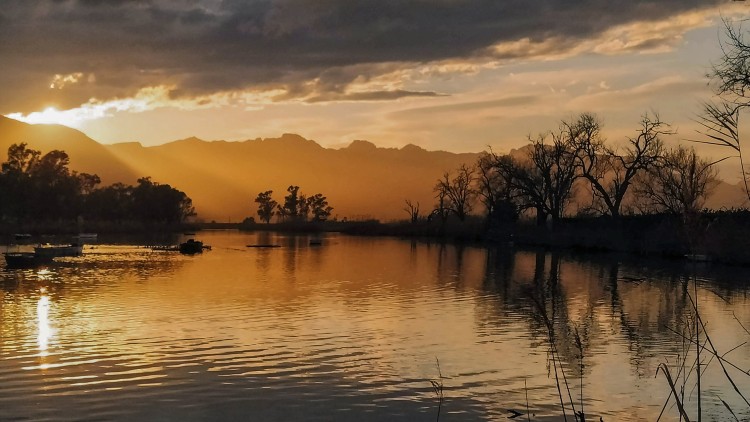 Estany de Cullera. Carolina Latorre