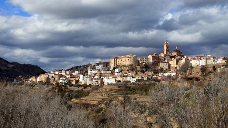 Xelva. Falconaumanni