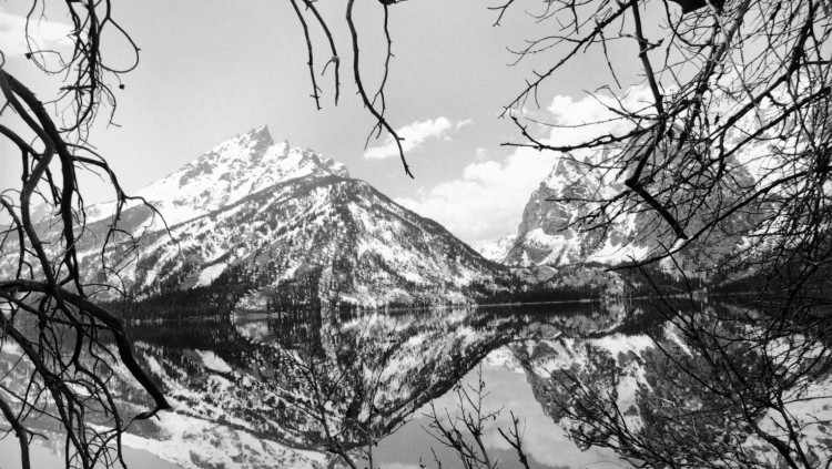 Lee Friedlander. Parc Nacional de Grand Teton. Wyoming. 1999