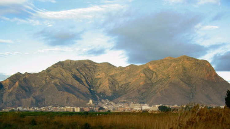 Vista de Callosa de Segura sota la serra de Callosa (Baix Segura