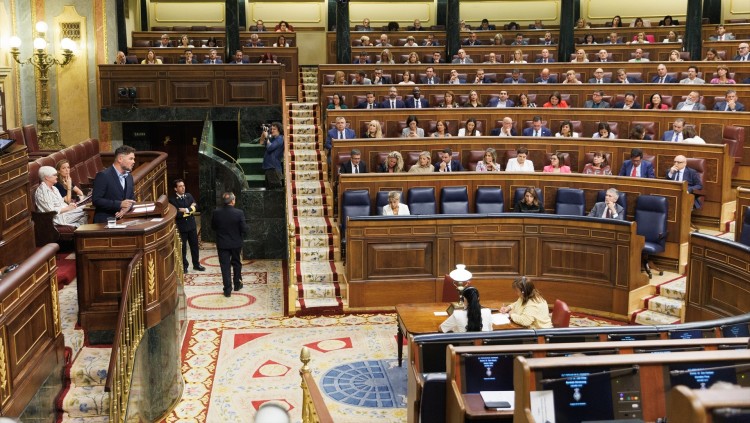 Gabriel Rufián intervé en català al Congrés dels Diputats| Europa Press
