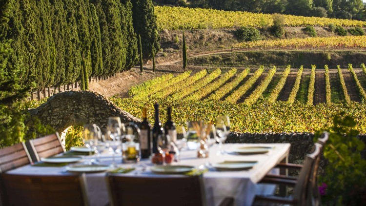 Dinar entre vinyes al celler Albet i Noya, al Penedès – Marc Castellet / ACT