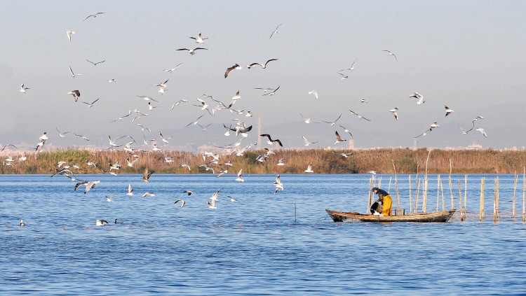 Una estampa de l'Albufera| Europa Press. 