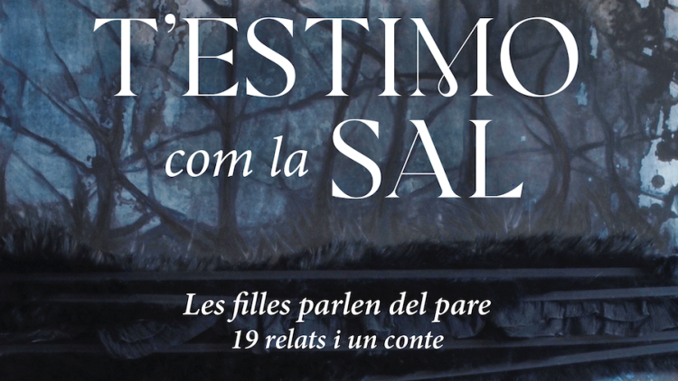 Detall de la coberta de T'estimo com la sal