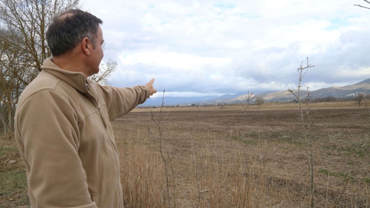 El director del Parc Natural dels Aiguamolls de l’Empordà, Sergi Romero, mostrant camps secs a la reserva dels Estanys on hi ha l’estany de Vilaüt.