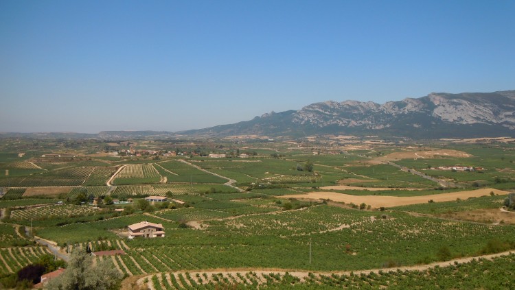 La Rioja alabesa