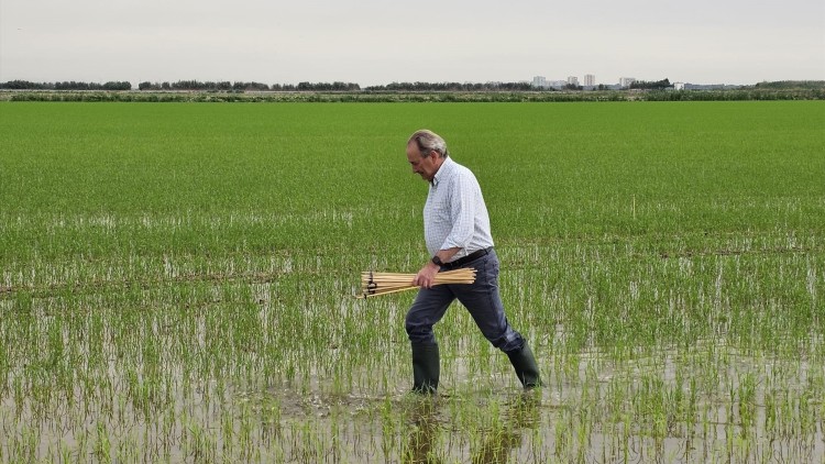 José Luis Aguirre, conseller d'Agricultura, Ramaderia i Pesca de la Generalitat Valenciana. Europa Press