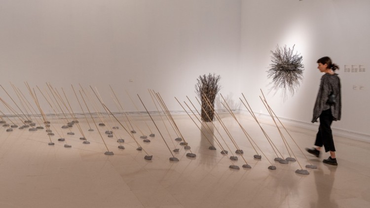 Vista de l'exposició dedicada a les artistes Senga Nengudi i Maren Hassinger. Juan García