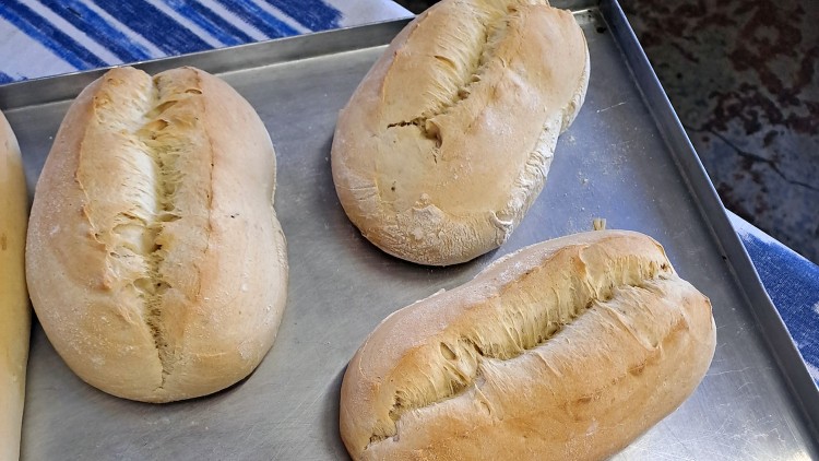  Imatge de llonguets, a un forn de Palma.