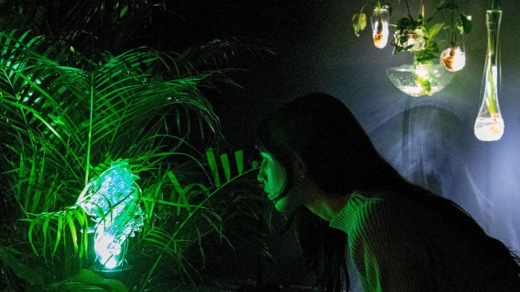 La instal·lació 'Radix'. Juan García