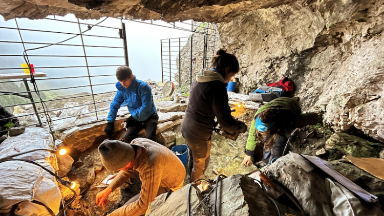 La Cova 338 o el Catau de l'Os, investigada a fons pels arqueòlegs // IPHES-CERCA