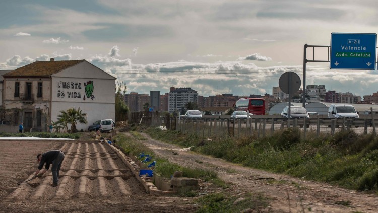 La construcció d’un tercer carril a la V-21 és una mossegada de 80.000 metres quadrats sobre una les zones d’horta més productives. L’enèsima agressió contra un patrimoni cultural i mediambiental únic| Miguel Lorenzo