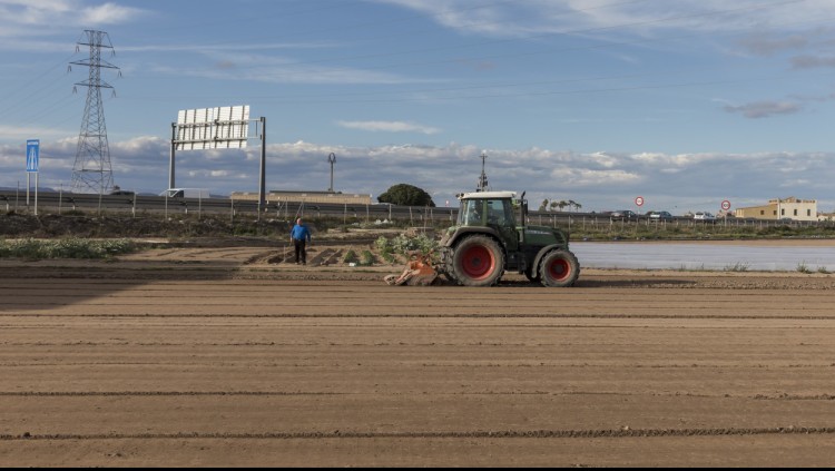 Un tractor llaura un camp d'Alboraia| Miguel Lorenzo