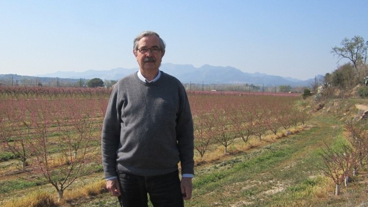 Josep Martí Valls
