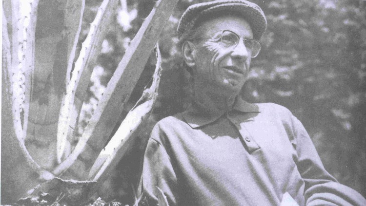 Domènec Guansé