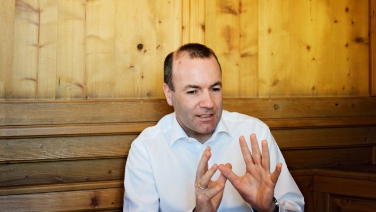 Manfred Weber