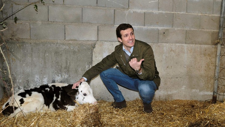 Pablo Casado posa en una granja. Efe