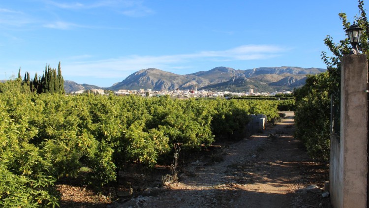 Pego és una població de caràcter agrícola