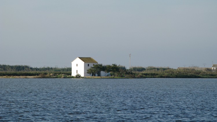 Albufera de València. Eliseu T. Climent