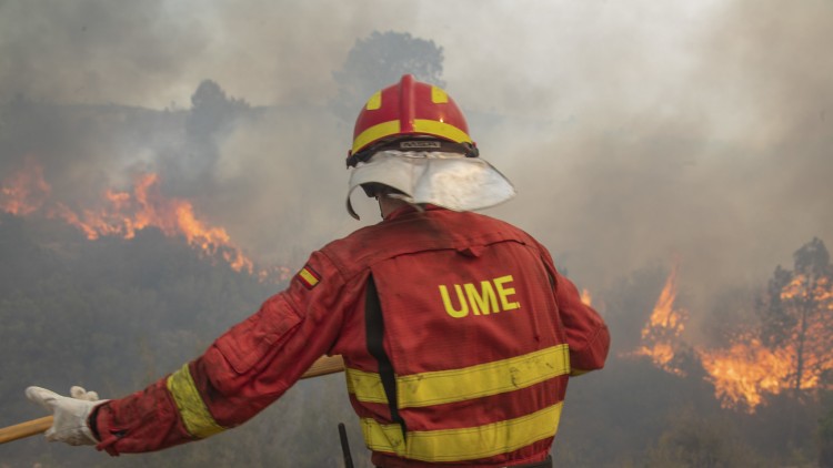 Un integrant de l'UME busca apagar un foc a l'incendi que va produir-se a Llutxent (Vall d'Albaida) en 2018| UME