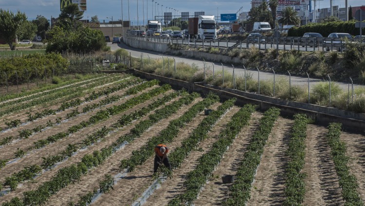 L'Horta de València a la zona sud de la corona metropolitana| Miguel Lorenzo. 