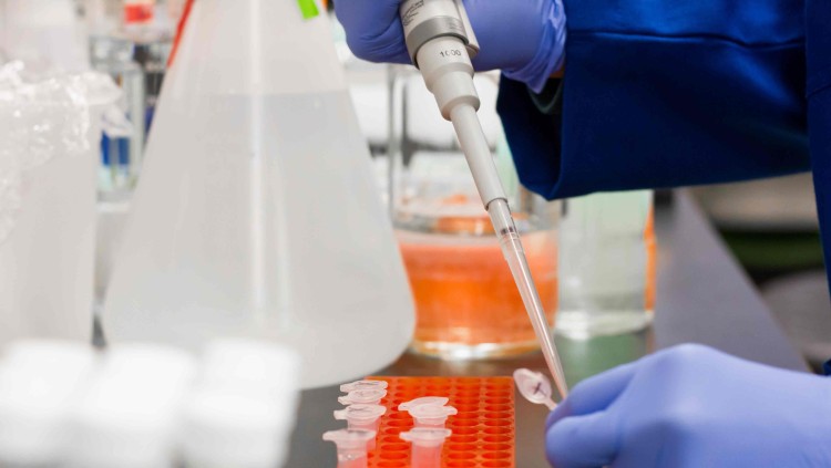 El coronavirus ha evidenciat, de nou, la precarietat de mitjans de la ciència espanyola| Europa Press