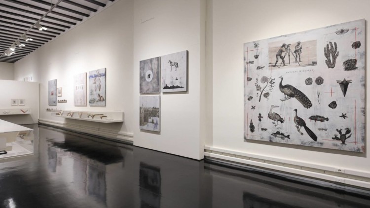 Vista de l'exposició 'Sistema Humboldt. Pensar / pintar', de Nuria Rodríguez. Centre Cultural La Nau, València. Eduardo Alapont