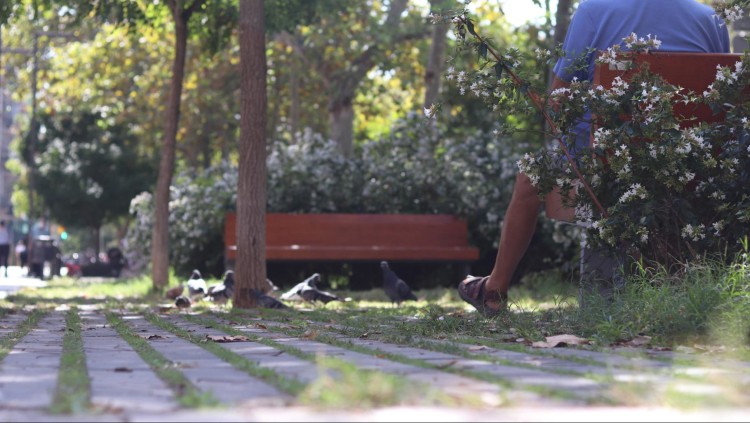 Vianant descansant en un dels bancs del corredor verd del Passeig de Sant Joan. Elisabet Gonzalez
