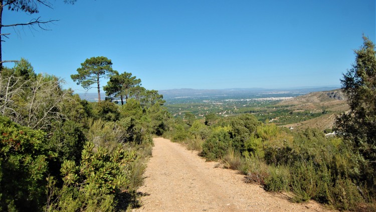 Hort de Soriano, a Carcaixent