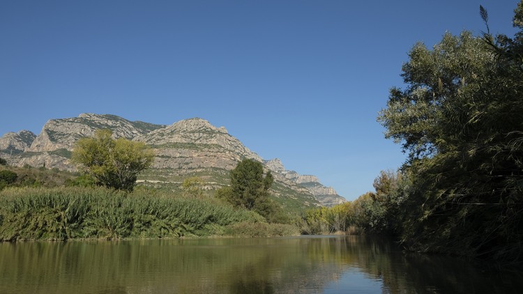 El Llobregat, al seu pas per Montserrat. Eliseu T. Climent