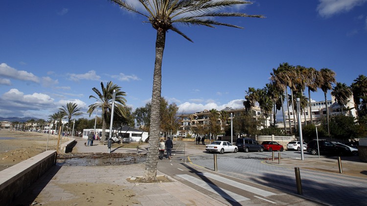 Ciutat Jardí, a Palma. Isaac Buj