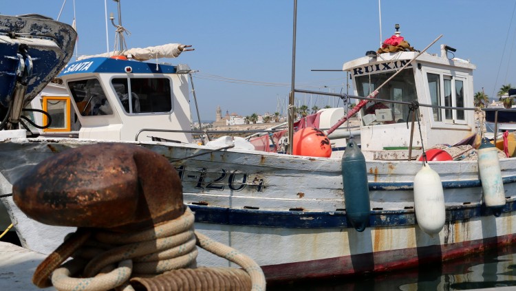 Pla obert d'una barca de pesca artesanal de Sitges amarrada al Port d'Aiguadolç. Agència Catalana de Notícies